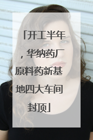 开工半年，华纳药厂原料药新基地四大车间封顶