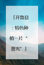 开鲁县：特色种植一片“薯光”