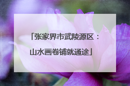 张家界市武陵源区：山水画卷铺就通途