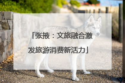 张掖：文旅融合激发旅游消费新活力