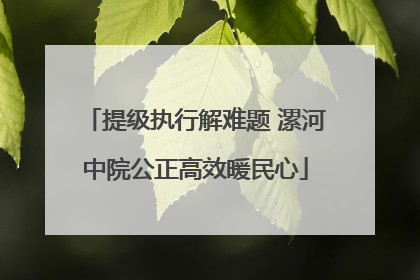 提级执行解难题 漯河中院公正高效暖民心