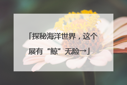 探秘海洋世界，这个展有“鲸”无险→