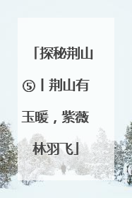 探秘荆山⑤丨荆山有玉暖，紫薇林羽飞