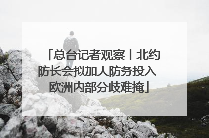 总台记者观察丨北约防长会拟加大防务投入 欧洲内部分歧难掩