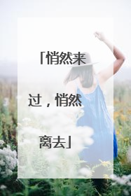 悄然来过，悄然离去