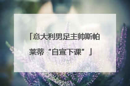 意大利男足主帅斯帕莱蒂“自宣下课”