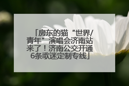 房东的猫“世界/青年”演唱会济南站来了！济南公交开通6条歌迷定制专线