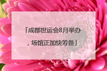 成都世运会8月举办，场馆正加快筹备