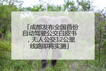 成都发布全国首份自动驾驶公交白皮书，无人公交12公里线路即将实测