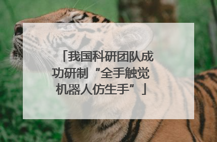 我国科研团队成功研制“全手触觉机器人仿生手”