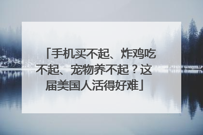 手机买不起、炸鸡吃不起、宠物养不起？这届美国人活得好难