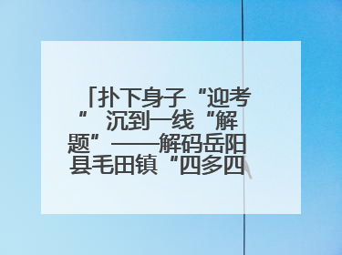 扑下身子“迎考” 沉到一线“解题”——解码岳阳县毛田镇“四多四好”工作法