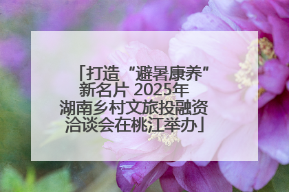 打造“避暑康养”新名片 2025年湖南乡村文旅投融资洽谈会在桃江举办