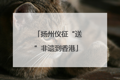 扬州仪征“送”非遗到香港