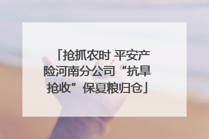 抢抓农时 平安产险河南分公司“抗旱抢收”保夏粮归仓