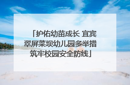护佑幼苗成长 宜宾翠屏菜坝幼儿园多举措筑牢校园安全防线