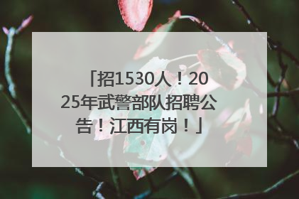 招1530人！2025年武警部队招聘公告！江西有岗！