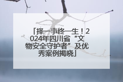 择一事终一生！2024年四川省“文物安全守护者”及优秀案例揭晓