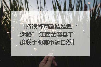 持续降雨致娃娃鱼“迷路” 江西金溪县干群联手助其重返自然