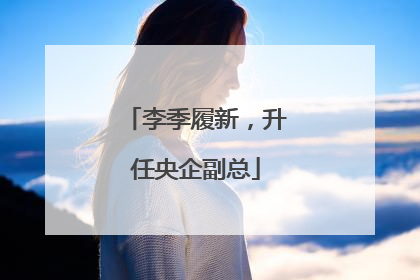 李季履新，升任央企副总