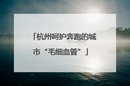 杭州呵护奔跑的城市“毛细血管”