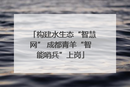 构建水生态“智慧网” 成都青羊“智能哨兵”上岗