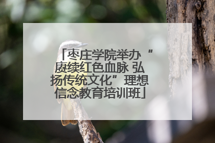 枣庄学院举办“赓续红色血脉 弘扬传统文化”理想信念教育培训班