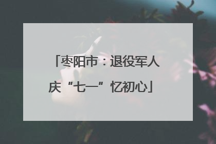 枣阳市：退役军人庆“七一”忆初心