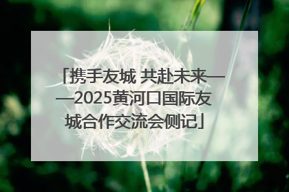 携手友城 共赴未来——2025黄河口国际友城合作交流会侧记