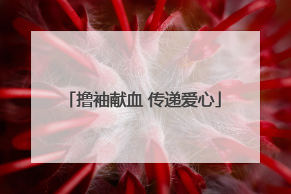 撸袖献血 传递爱心