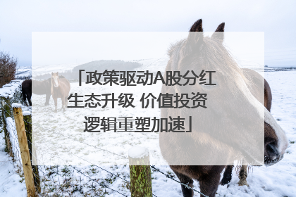 政策驱动A股分红生态升级 价值投资逻辑重塑加速