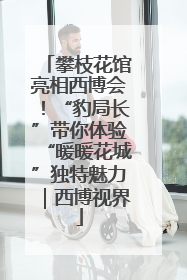攀枝花馆亮相西博会！“豹局长”带你体验“暖暖花城”独特魅力｜西博视界