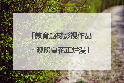 教育题材影视作品：观照夏花正烂漫