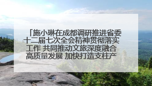 施小琳在成都调研推进省委十二届七次全会精神贯彻落实工作 共同推动文旅深度融合高质量发展 加快打造支柱产业民生产业幸福产业