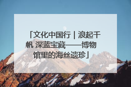 文化中国行｜浪起千帆 深蓝宝藏——博物馆里的海丝遗珍