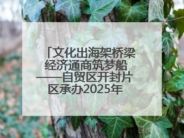 文化出海架桥梁 经济通商筑梦船——自贸区开封片区承办2025年匈牙利文旅交流对接活动专场