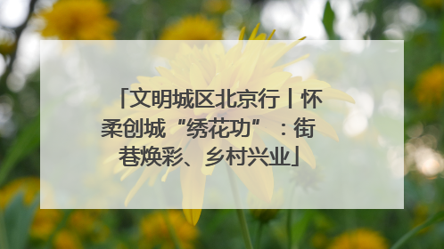 文明城区北京行丨怀柔创城“绣花功”：街巷焕彩、乡村兴业