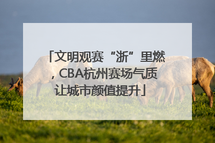 文明观赛“浙”里燃，CBA杭州赛场气质让城市颜值提升