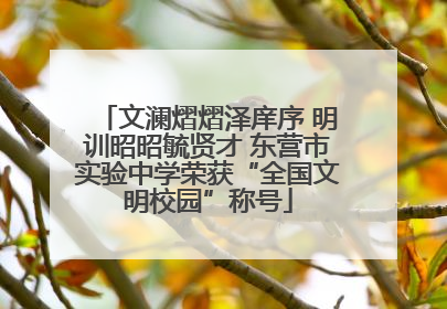 文澜熠熠泽庠序 明训昭昭毓贤才 东营市实验中学荣获“全国文明校园”称号