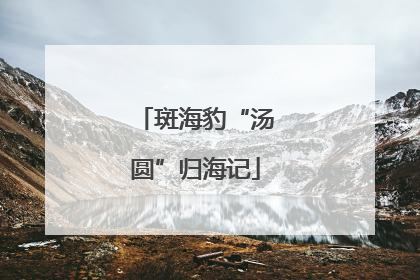 斑海豹“汤圆”归海记
