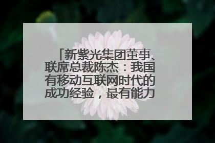 新紫光集团董事、联席总裁陈杰：我国有移动互联网时代的成功经验，最有能力做好AI应用创新
