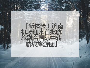 新体验！济南机场迎来首批航旅融合国际中转航线旅游团