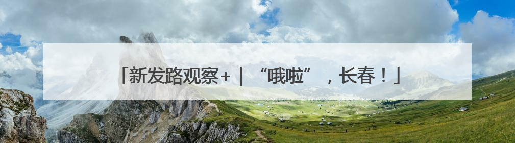 新发路观察+｜“哦啦”，长春！