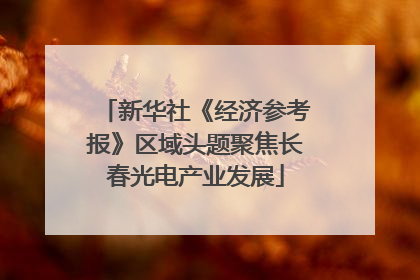 新华社《经济参考报》区域头题聚焦长春光电产业发展