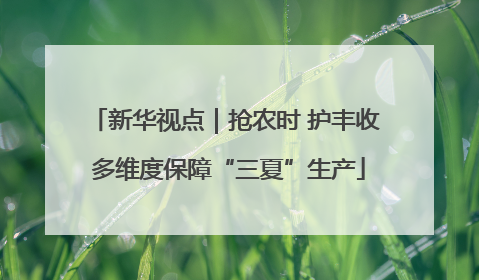 新华视点｜抢农时 护丰收 多维度保障“三夏”生产