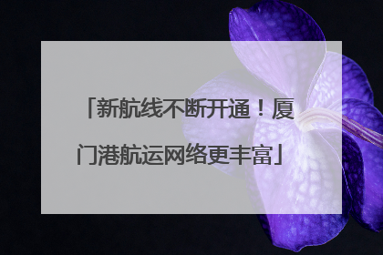 新航线不断开通！厦门港航运网络更丰富