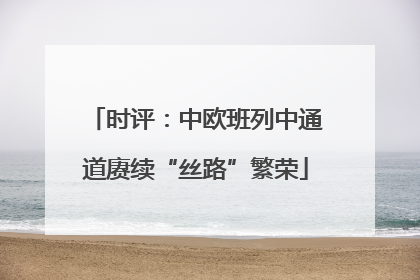 时评：中欧班列中通道赓续“丝路”繁荣