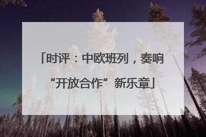 时评：中欧班列，奏响“开放合作”新乐章
