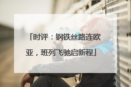 时评：钢铁丝路连欧亚，班列飞驰启新程