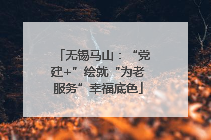 无锡马山：“党建+”绘就“为老服务”幸福底色